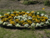 img0011.jpg
