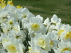 img0013.jpg