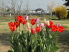 img0015.jpg