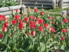 img0019.jpg
