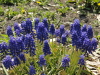 img0027.jpg