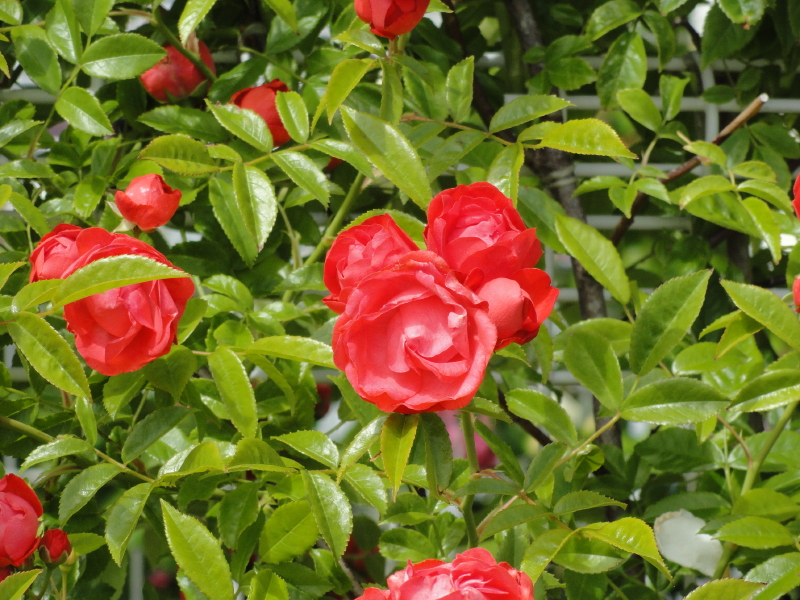 img0032.jpg