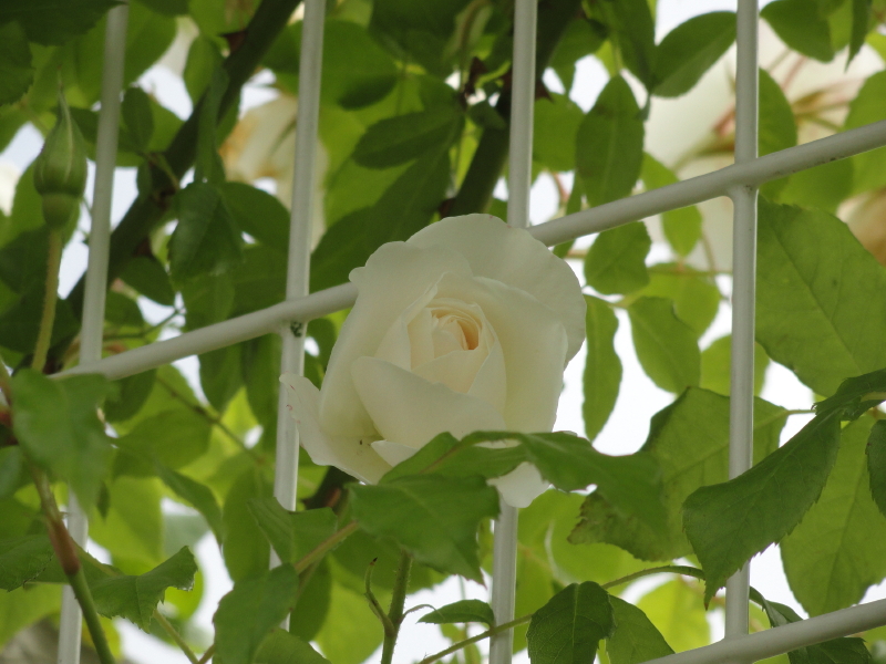 img0073.jpg