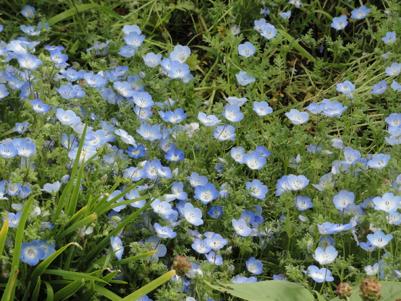 img0116.jpg