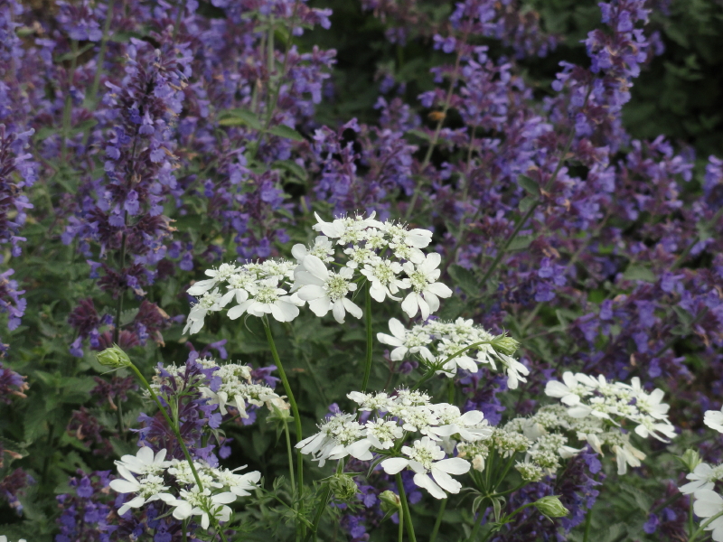 img0124.jpg