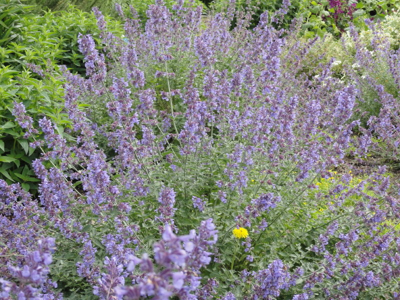 img0125.jpg