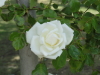img0005.jpg