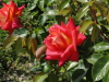 img0021.jpg
