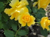 img0024.jpg