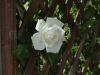 img0027.jpg