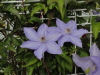 img0064.jpg