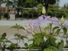 img0065.jpg