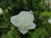 img0067.jpg