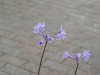 img0111.jpg