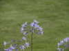 img0112.jpg