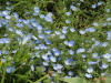 img0116.jpg