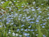 img0117.jpg