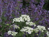 img0124.jpg