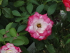 img0023.jpg