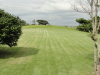 img0030.jpg