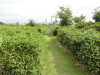 img0031.jpg
