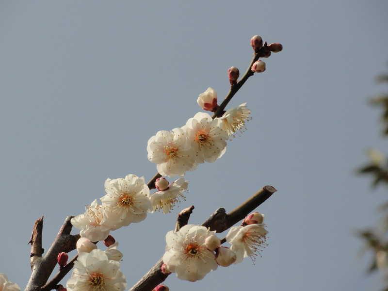 img0023.jpg