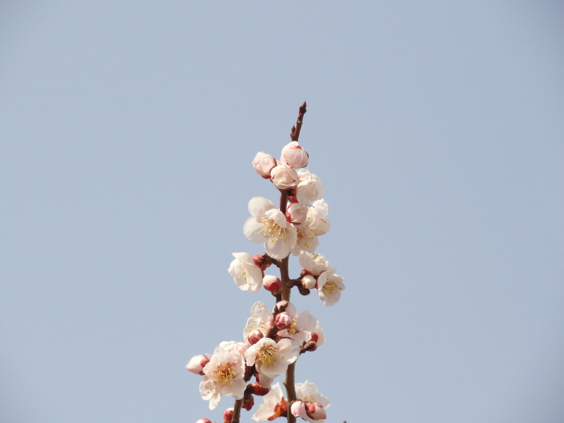 img0025.jpg