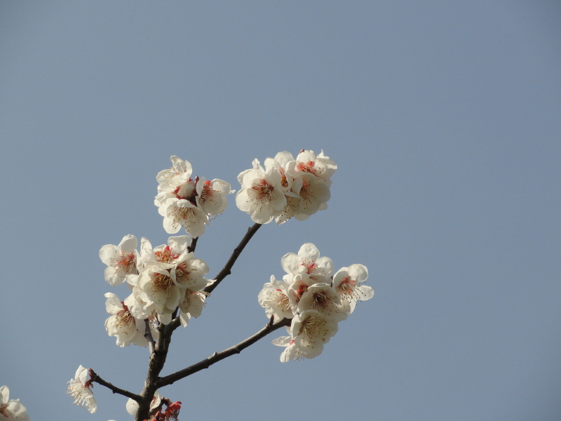 img0041.jpg