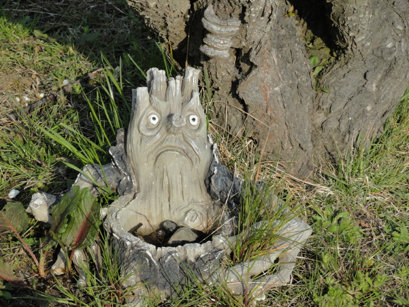 img0138.jpg