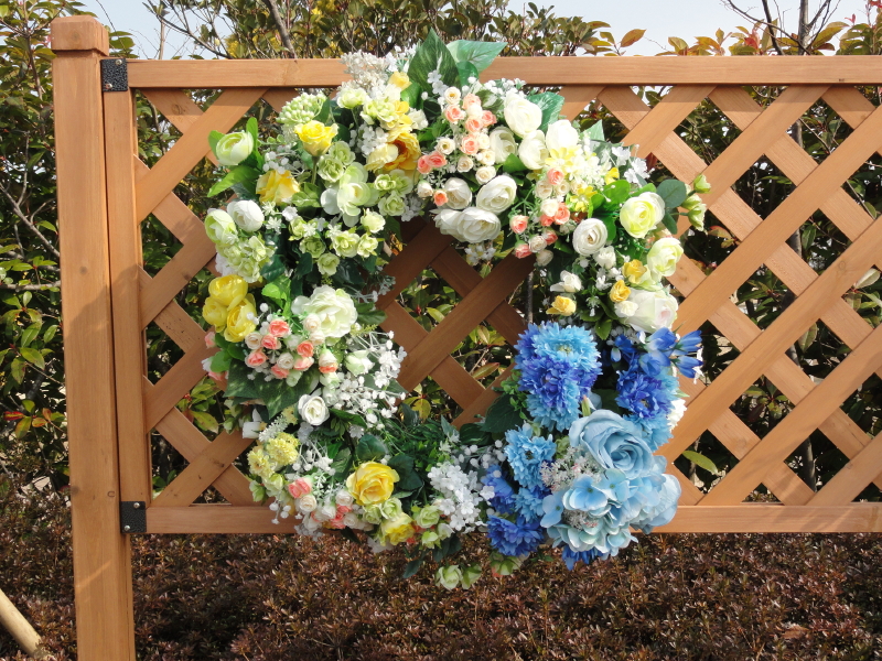img0142.jpg