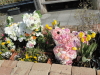 img0002.jpg