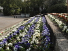 img0004.jpg
