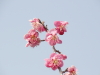 img0012.jpg