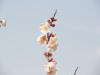 img0024.jpg