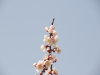 img0025.jpg
