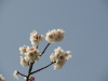 img0041.jpg