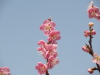 img0042.jpg