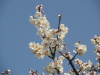 img0045.jpg