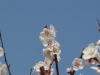 img0052.jpg