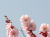 img0054.jpg
