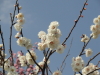 img0066.jpg