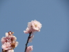 img0076.jpg