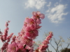 img0111.jpg