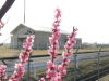 img0112.jpg