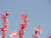 img0114.jpg