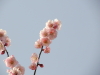 img0123.jpg