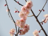 img0127.jpg