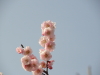img0128.jpg
