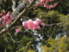 img0130.jpg