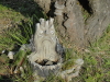 img0138.jpg